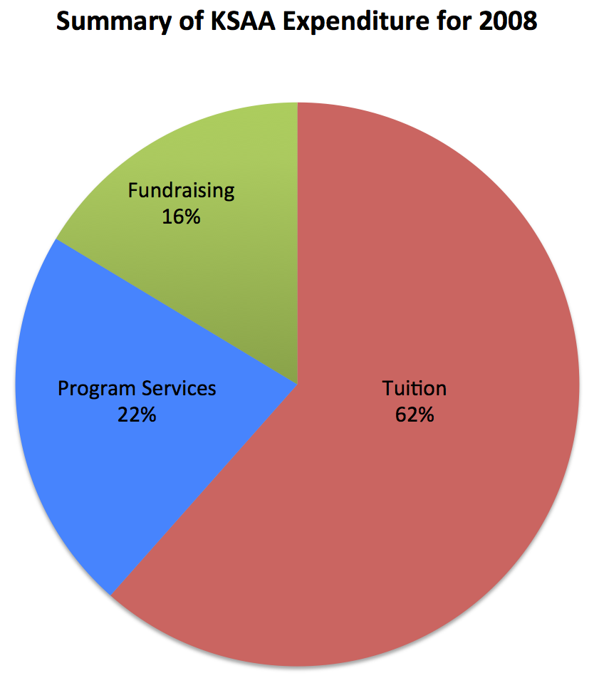 Summary of expenditure for 2008