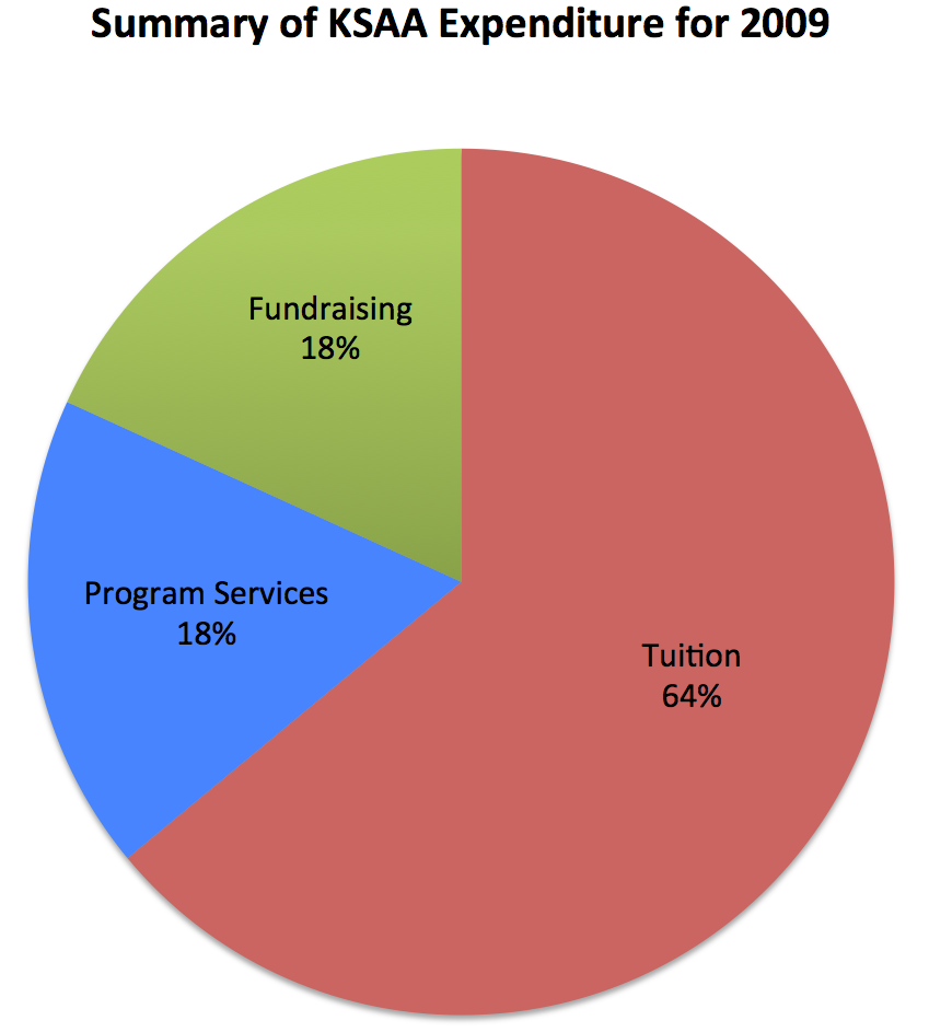Summary of expenditure for 2009