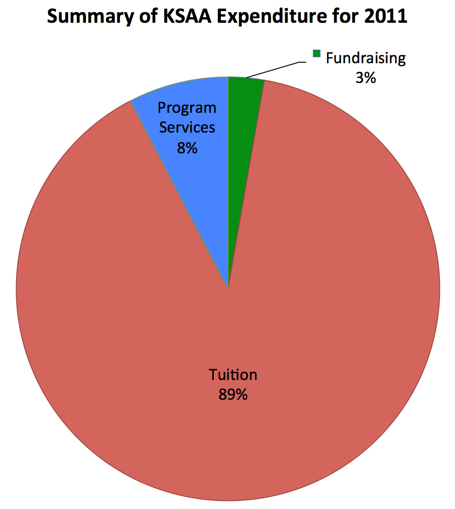 Summary of expenditure for 2011