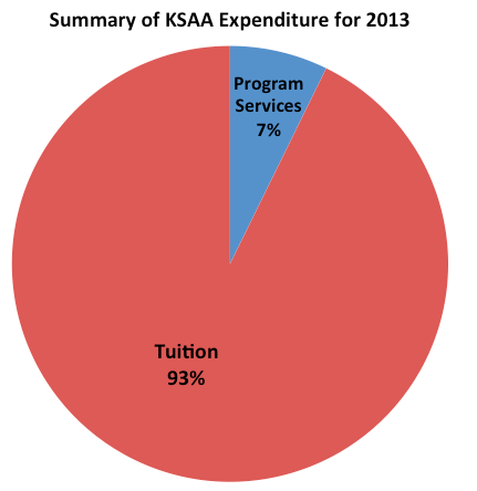 Summary of expenditure for 2013